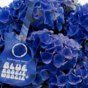 Гортензия крупнолистная Music Collection Blue Boogiewoogie