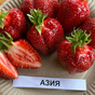 Клубника Азия