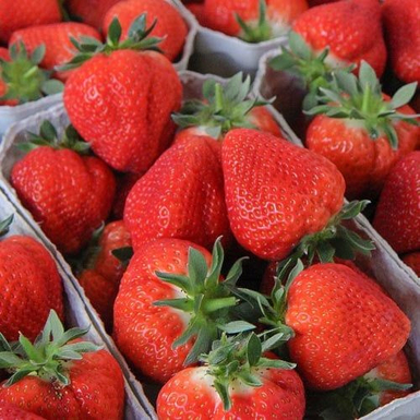 Клубника Флер