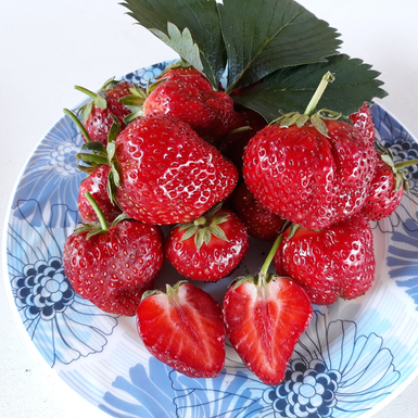 Клубника Королева Елизавета 2